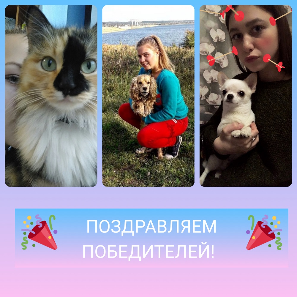 Photo Collage 20190412 085854458